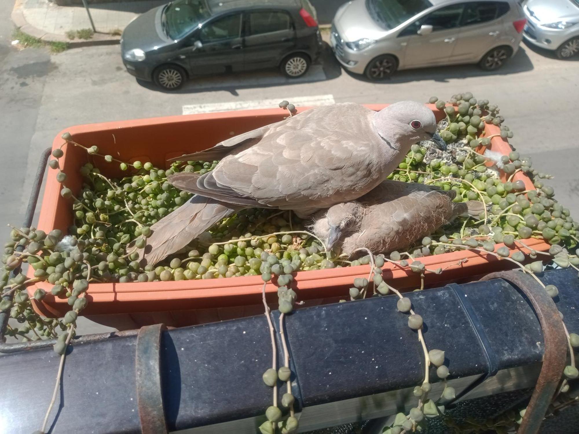 Apartament Quedar-Se A L'Alguer Zewnętrze zdjęcie
